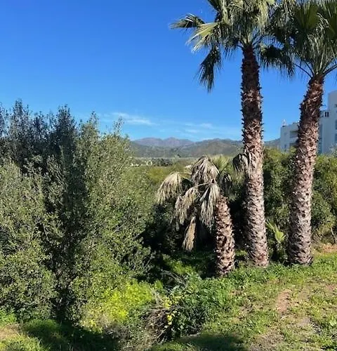 펜션 Casabel Playa Alicate *